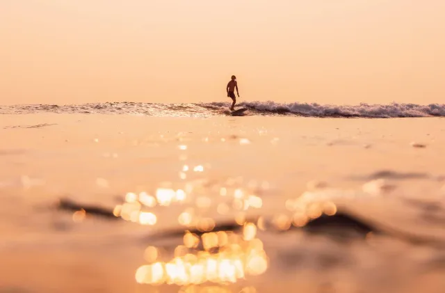 A surfer on a gentle wave in warm light.